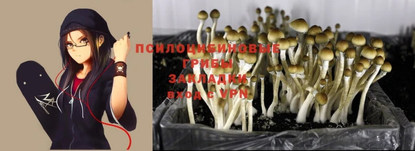 МДПВ Иннополис