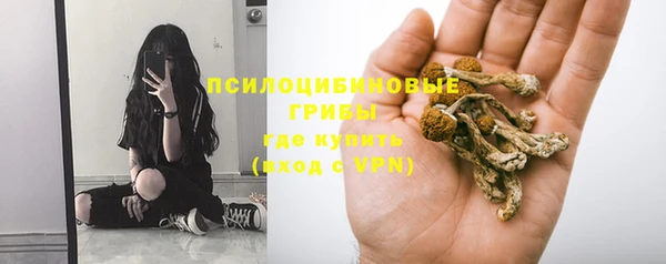 марки nbome Инсар