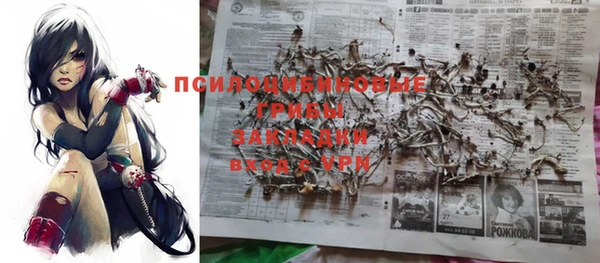 МДПВ Иннополис